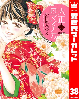 ��ʬ���ǡ��������ޥ���� 38