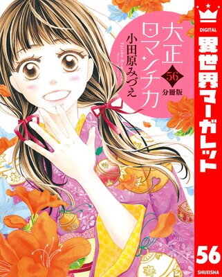 ��ʬ���ǡ��������ޥ���� 56