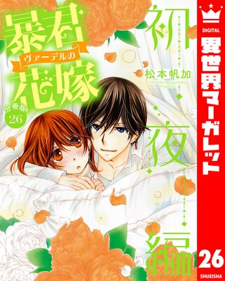 ��ʬ���ǡ�˽���������ǥ�βֲ� ������ 26