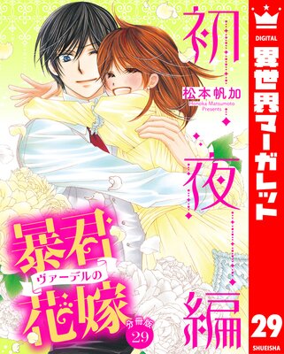 ��ʬ���ǡ�˽���������ǥ�βֲ� ������ 29