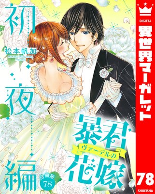 ��ʬ���ǡ�˽���������ǥ�βֲ� ������ 78