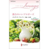 都合のいいプロポーズ ウエストサイドの恋事情 IV