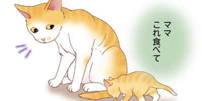 �ڥåȤ�����ʹ���������23�ˡڥե륫�顼��