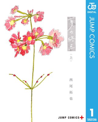 �Ƥν�����ɽ��