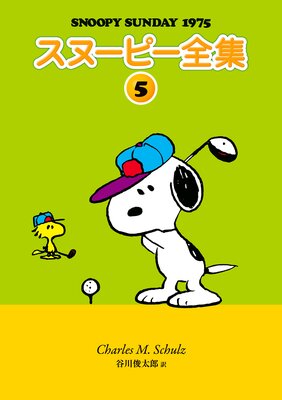 ���̡��ԡ����� 5