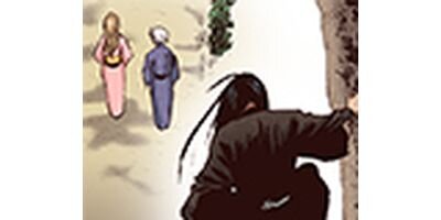 �Ϲ��� ���顼�� 250