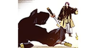 �Ϲ��� ���顼�� 257