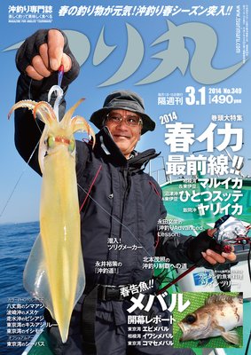 �Ĥ�� 2014ǯ 3��1���ɽ��