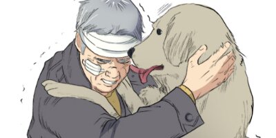 Dr.������� ��ᥤ����29�áڥե륫�顼��