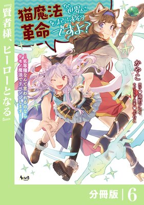猫魔法が世界に革命を起こすそうですよ?【分冊版】(ノヴァコミックス)6