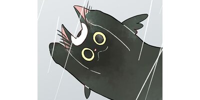 ����졼�ǥ��󥬡��ȵ���ǭ�Ȥ����Ĥȵ�����ڥ��ƥ����� ��19�áڥե륫�顼��