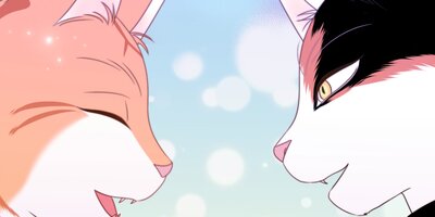 �֥롼�ץ���������5�ڥե륫�顼��