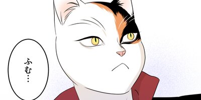 �֥롼�ץ���������11�ڥե륫�顼��