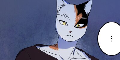 �֥롼�ץ���������19�ڥե륫�顼��