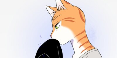 �֥롼�ץ���������20�ڥե륫�顼��