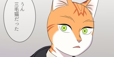 �֥롼�ץ���������21�ڥե륫�顼��