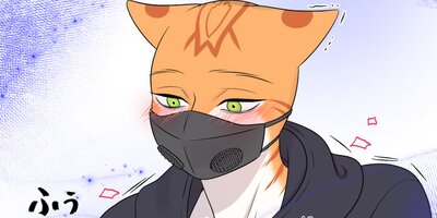 �֥롼�ץ���������31�ڥե륫�顼��