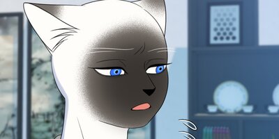 �֥롼�ץ���������32�ڥե륫�顼��