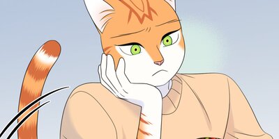 �֥롼�ץ���������33�ڥե륫�顼��