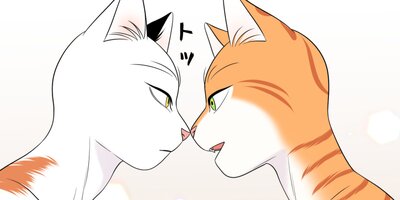 �֥롼�ץ���������35�ڥե륫�顼��