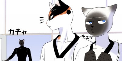 �֥롼�ץ���������37�ڥե륫�顼��