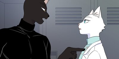 �֥롼�ץ���������38�ڥե륫�顼��