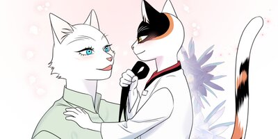 �֥롼�ץ���������40�ڥե륫�顼��