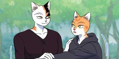 �֥롼�ץ���������43�ڥե륫�顼��