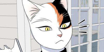 �֥롼�ץ���������44�ڥե륫�顼��