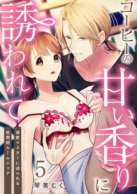 �����ҡ��δŤ�����Ͷ���ơ�Ů���ޥ�������������û���֥롼�ॷ������