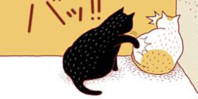 �����ˤ�� ��13�áڥե륫�顼��