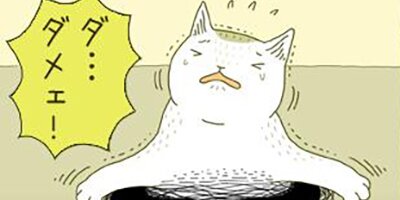 �����ˤ�� ��36�áڥե륫�顼��