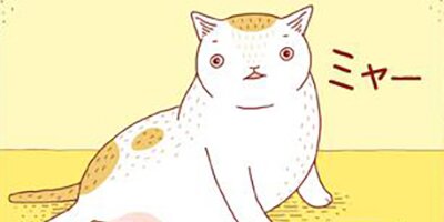 �����ˤ�� ��37�áڥե륫�顼��