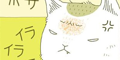 �����ˤ�� ��38�áڥե륫�顼��