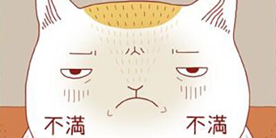 �����ˤ�� ��44�áڥե륫�顼��