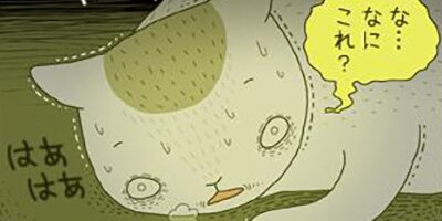 �����ˤ�� ��48�áڥե륫�顼��