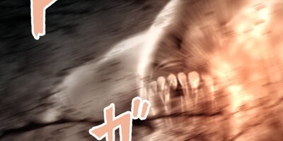 �������Ῡ�Ԥ�����55�ˡڥե륫�顼��