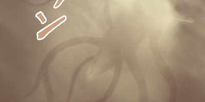 �������Ῡ�Ԥ�����81�ˡڥե륫�顼��