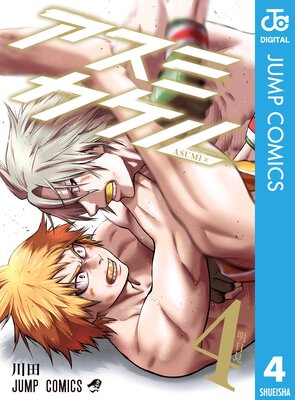 �����ߥ�����