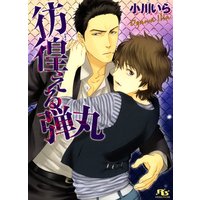 彷徨える弾丸