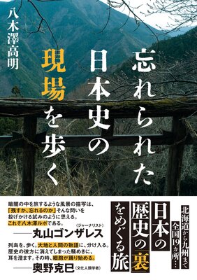 ˺���줿���ܻˤθ�����⤯��ɽ��