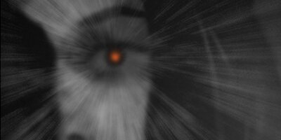 �и��ʥ� �����Τ����졩��11�ˡڥե륫�顼��