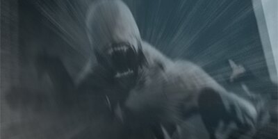 �и��ʥ� �����Τ����졩��13�ˡڥե륫�顼��