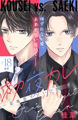 ���륫�� -���ϰ��ǴŤ��Ҥ�- ʬ���� 18��