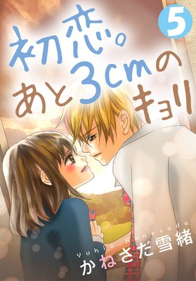 ����������3cm�Υ����