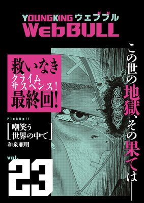 Web BULL23