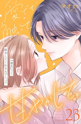 ���Ǥơ����äơ��Ť䤫���ơ� ʬ���� 23��