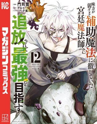 味方が弱すぎて補助魔法に徹していた宮廷魔法師、追放されて最強を目指す 12巻