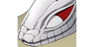 ��ؤ˲Ǥ���̼�ڥ��ƥ����� Chapter27�ڥե륫�顼��