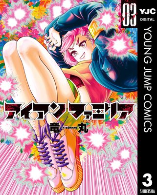 ��������ե��ߥꥢ 3